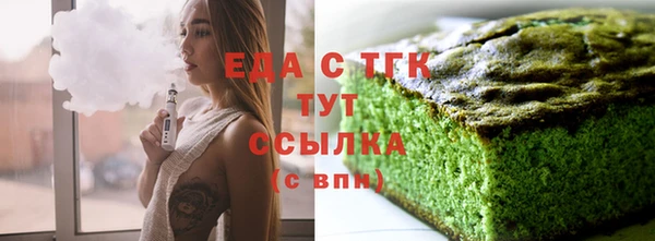 шишки Няндома