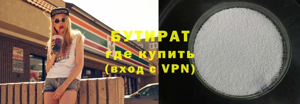 прущие грибы Тихвин