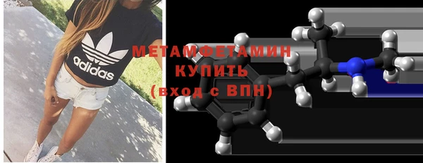шишки Няндома