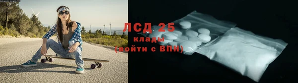 шишки Няндома