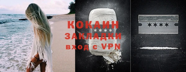 шишки Няндома