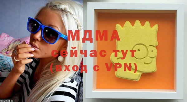 шишки Няндома