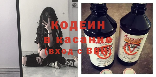 индика Нязепетровск