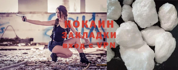 индика Нязепетровск