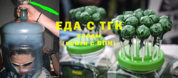 шишки Няндома