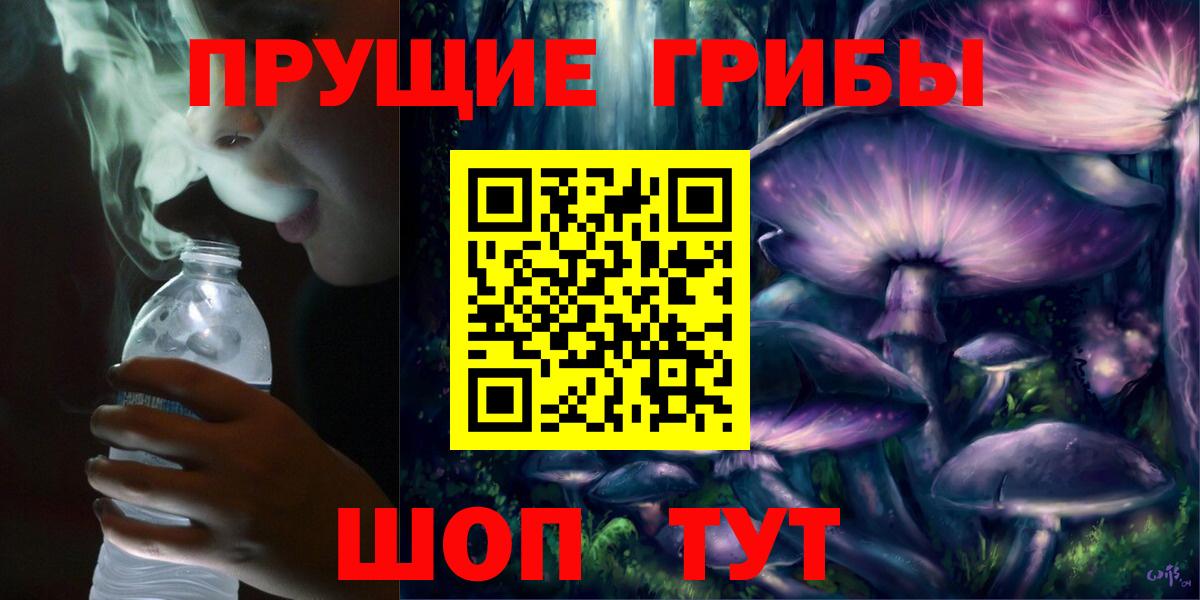 где купить наркотик  Вход с VPN  Псилоцибиновые грибы ЛСД  Архангельск  Галлюциногенные грибы ЛСД 