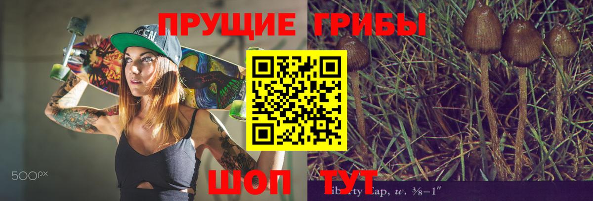 Галлюциногенные грибы Cubensis Архангельск